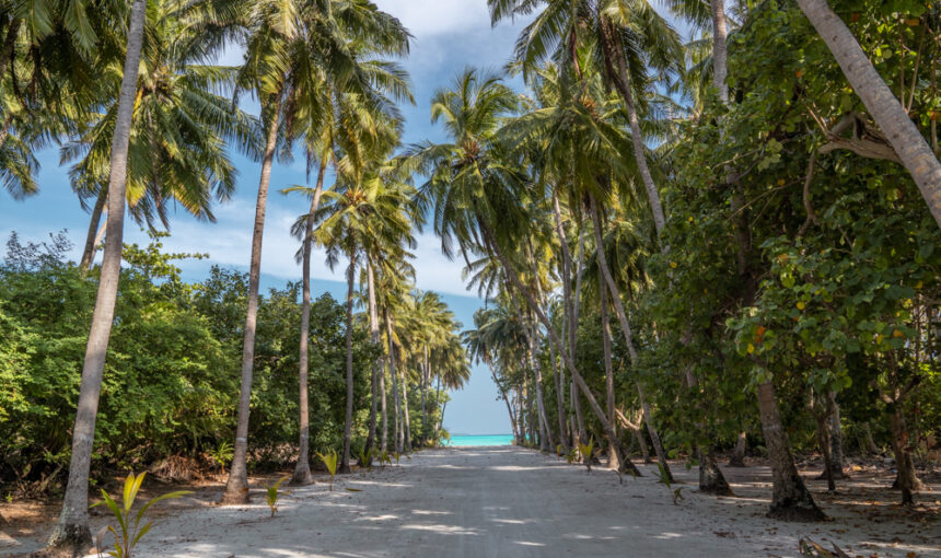 The Rise of Local Tourism in the Maldives: A New Era for Island Travel
